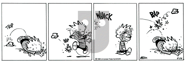 Calvin and Hobbes on Monday August 29, 1988 Comic Strip