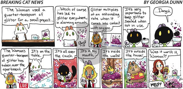Breaking Cat News on Sunday May 25, 2025 Comic Strip