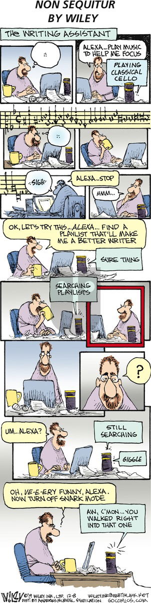 Non Sequitur on Sunday December 8, 2019 Comic Strip