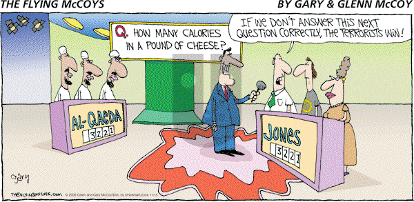 The Flying McCoys on Sunday November 15, 2009 Comic Strip