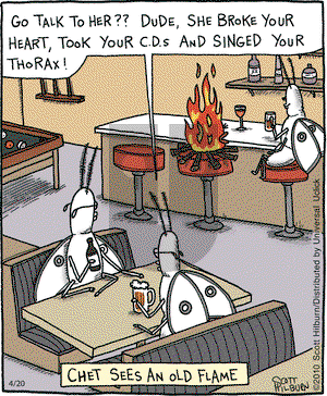 The Argyle Sweater on Tuesday April 20, 2010 Comic Strip