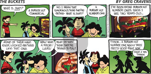 The Buckets on Sunday January 3, 2021 Comic Strip