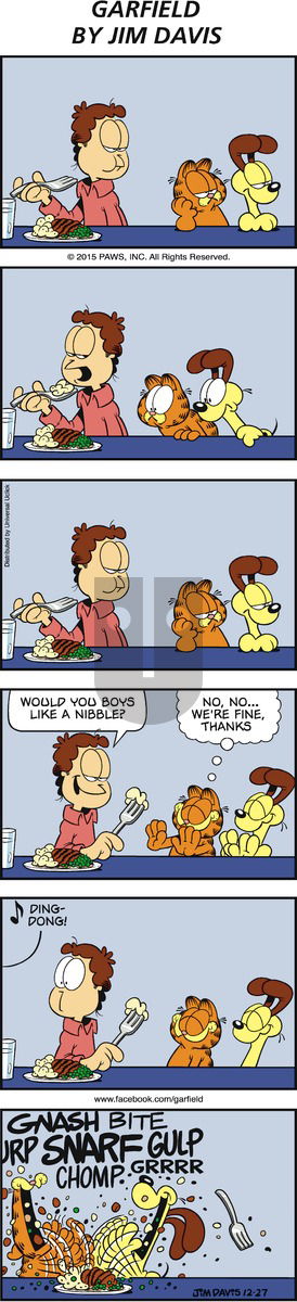 Garfield on Sunday December 27, 2015 Comic Strip