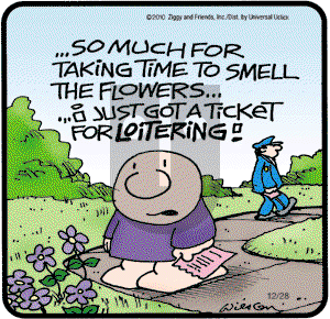 Ziggy on Tuesday December 28, 2010 Comic Strip