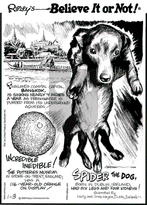 Ripley's Believe It or Not on Thursday January 3, 2008 Comic Strip