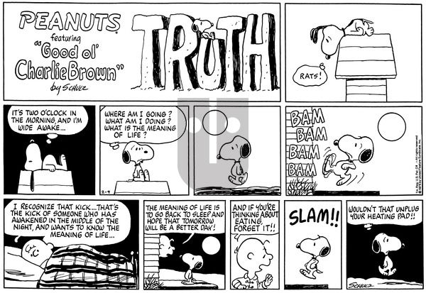Peanuts on Friday May 23, 1975 Comic Strip
