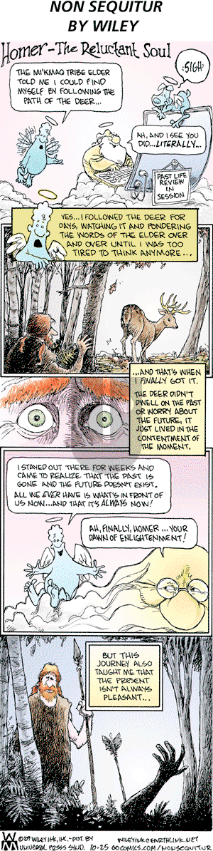Non Sequitur on Sunday October 25, 2009 Comic Strip
