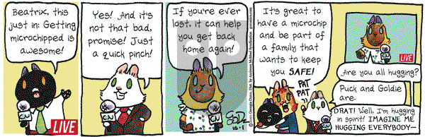 Breaking Cat News on Thursday October 1, 2020 Comic Strip