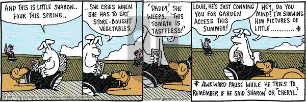 Overboard on Wednesday April 5, 2017 Comic Strip