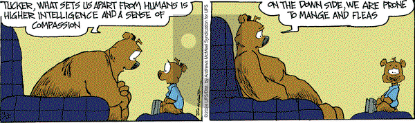 The Grizzwells - Saturday November 30, 2024 Comic Strip