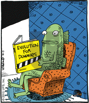 Reality Check on Thursday October 7, 2010 Comic Strip
