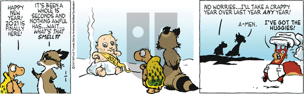Over the Hedge on Friday January 1, 2021 Comic Strip