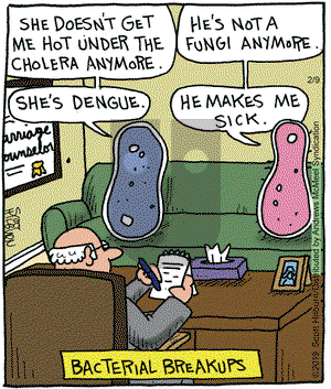 The Argyle Sweater on Saturday February 9, 2019 Comic Strip