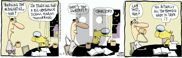 The Duplex on Friday March 4, 2005 Comic Strip