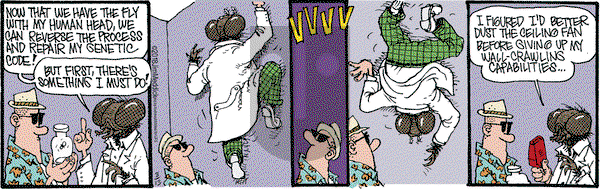 Monty on Tuesday March 13, 2018 Comic Strip