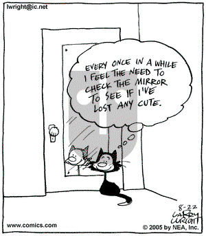 Kit 'N' Carlyle on Monday August 22, 2005 Comic Strip