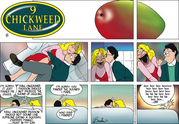 9 Chickweed Lane on Sunday January 25, 2015 Comic Strip