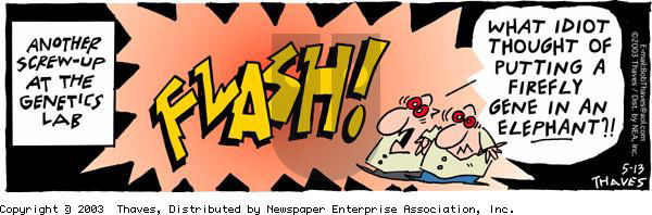 Frank and Ernest - Tuesday May 13, 2003 Comic Strip