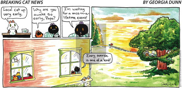 Breaking Cat News on Sunday April 13, 2025 Comic Strip