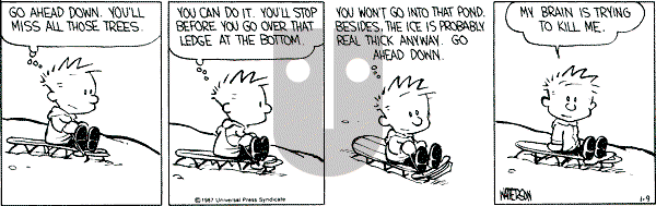Calvin and Hobbes - Friday January 9, 1987 Comic Strip