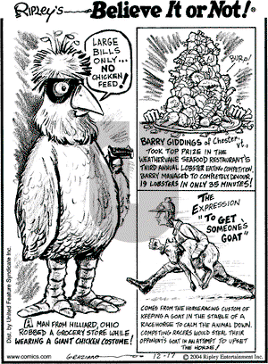 Ripley's Believe It or Not on Friday December 17, 2004 Comic Strip