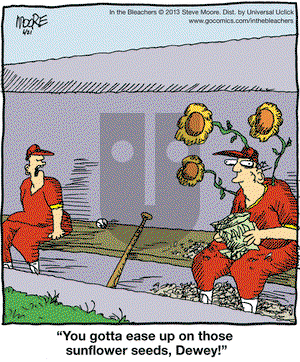 In the Bleachers on Friday June 21, 2013 Comic Strip