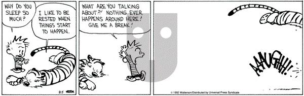 Calvin and Hobbes on Wednesday August 5, 1992 Comic Strip