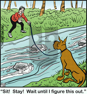 Marmaduke on Friday March 8, 2019 Comic Strip