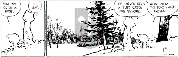 Calvin and Hobbes - Saturday November 30, 2024 Comic Strip