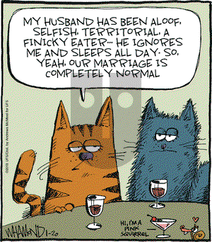 Reality Check on Saturday January 20, 2018 Comic Strip