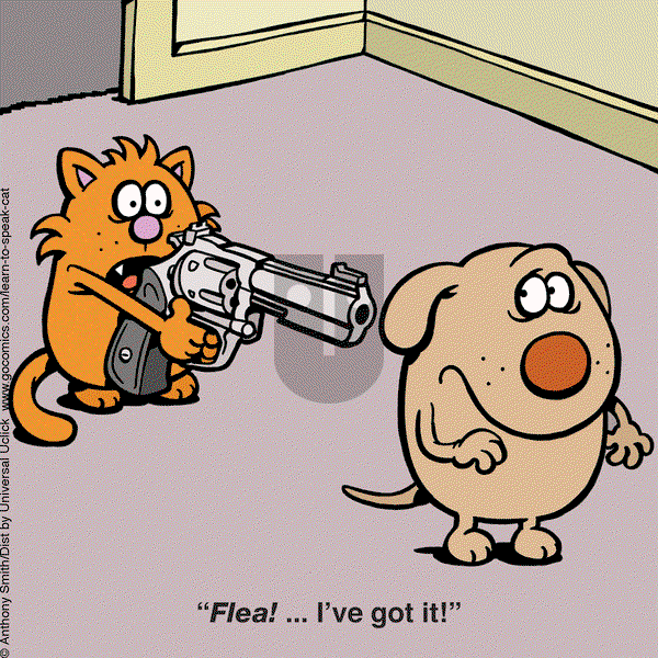 Learn to Speak Cat on Monday February 24, 2025 Comic Strip