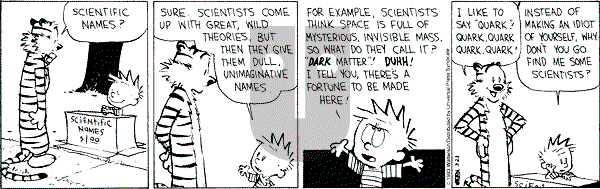 Calvin and Hobbes - Tuesday March 23, 1993 Comic Strip