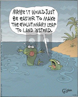 The Flying McCoys on Wednesday December 28, 2011 Comic Strip