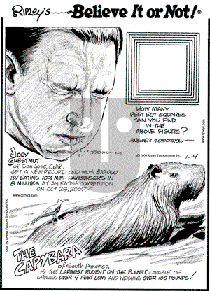 Ripley's Believe It or Not on Friday January 4, 2008 Comic Strip
