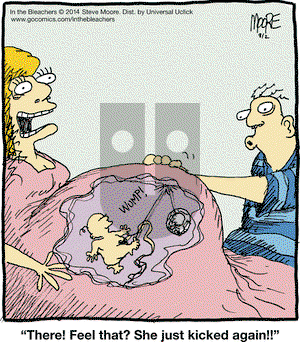 In the Bleachers on Saturday August 2, 2014 Comic Strip