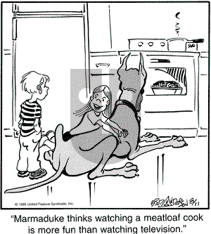 Marmaduke on Wednesday August 11, 1999 Comic Strip