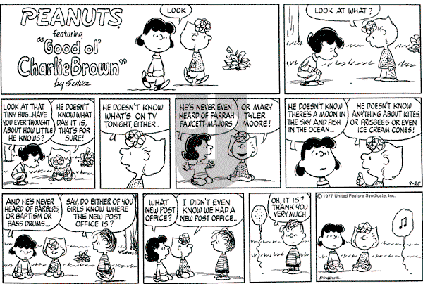 Peanuts - Sunday September 25, 1977 Comic Strip
