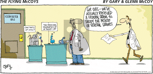 The Flying McCoys on Sunday July 17, 2005 Comic Strip
