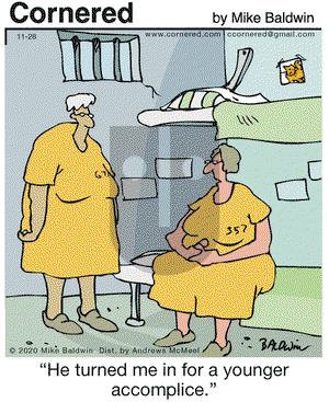 Cornered on Saturday November 28, 2020 Comic Strip