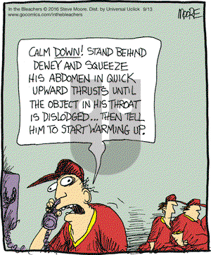 In the Bleachers on Tuesday September 13, 2016 Comic Strip