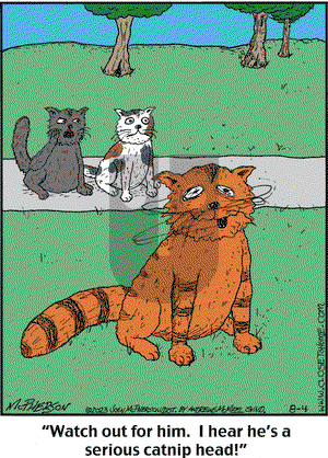 Close to Home on Friday August 4, 2023 Comic Strip