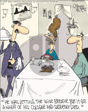 The Flying McCoys on Friday March 9, 2007 Comic Strip