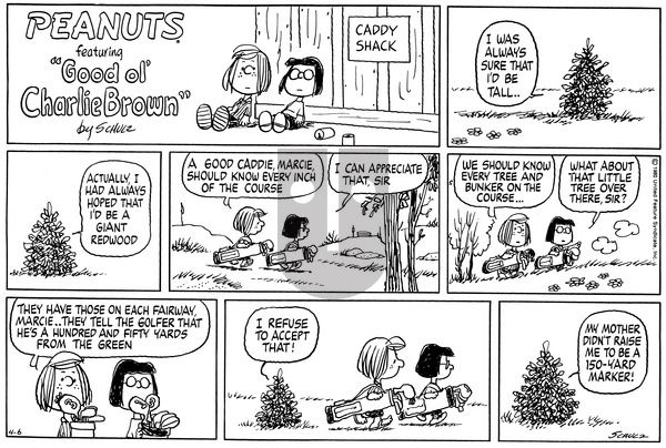 Peanuts on Sunday April 6, 1980 Comic Strip