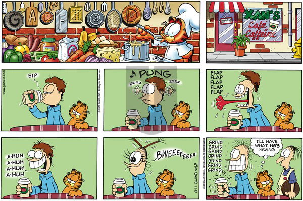 Garfield on Sunday November 8, 2009 Comic Strip