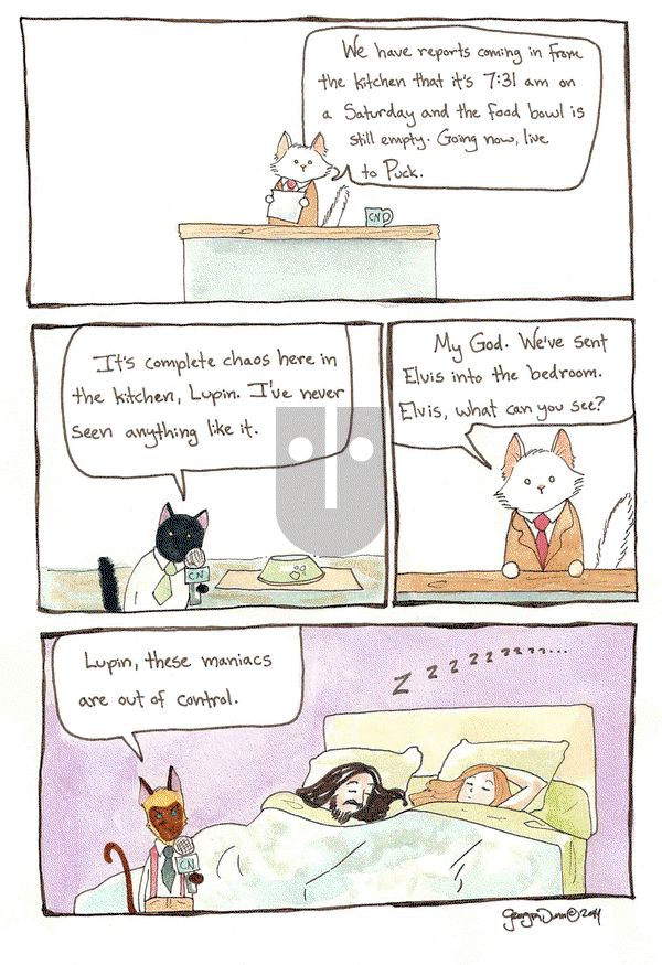 Breaking Cat News - Thursday October 23, 2014 Comic Strip