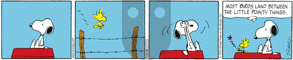 Peanuts on Monday March 19, 2001 Comic Strip