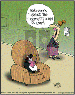 The Flying McCoys on Thursday June 8, 2017 Comic Strip