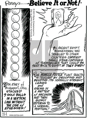 Ripley's Believe It or Not - Thursday November 1, 2001 Comic Strip