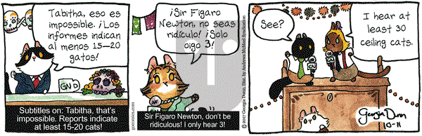 Breaking Cat News on Wednesday October 11, 2017 Comic Strip