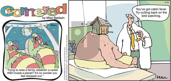 Cornered on Sunday March 18, 2007 Comic Strip